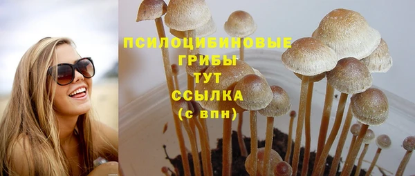 дживик Покров
