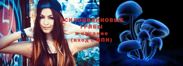 дживик Покров