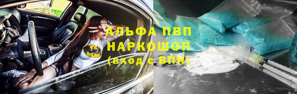 сатива Покровск