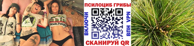 МЕГА ONION  даркнет клад  Губаха  Псилоцибиновые грибы GOLDEN TEACHER  наркошоп 