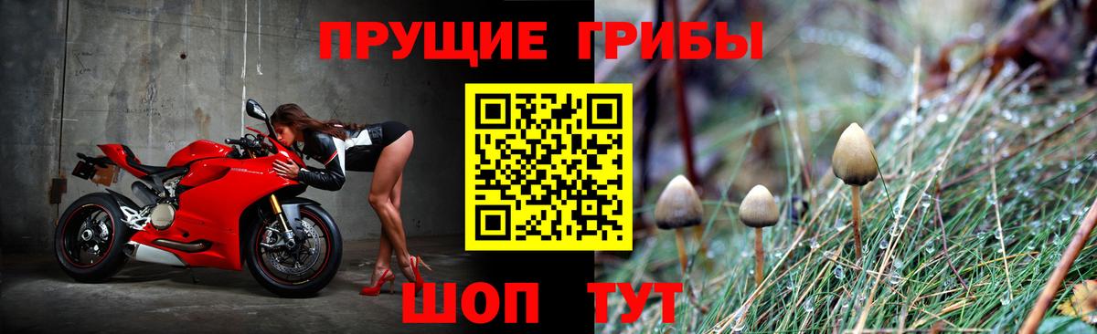 Галлюциногенные грибы Magic Shrooms  Вход с VPN  Галлюциногенные грибы Psilocybe  Губаха 