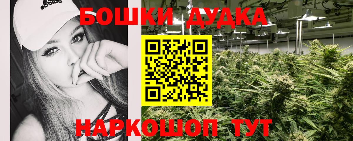 Шишки марихуана индика Губаха